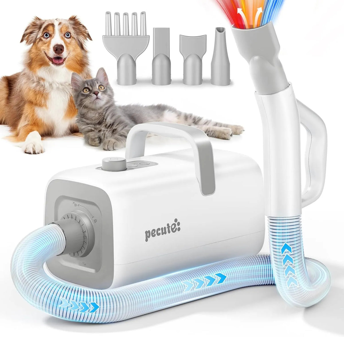Pecute, Pulseur for Dog Poodle, for profesjonalny Dog Sweep